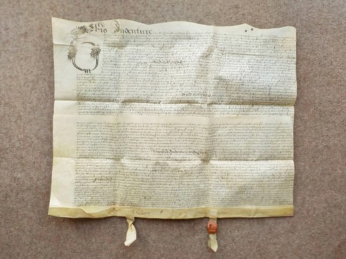 1656 sussex culpeper - sussex,