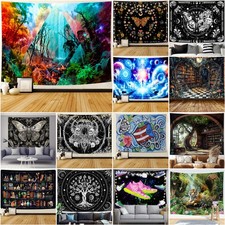 Large Moon Moth Bookshelf Wall