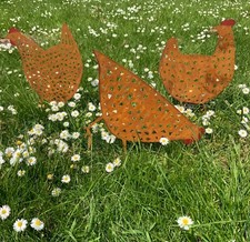 3 Metal Chicken Hen Metal