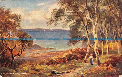 R118723 silver birch wood - r118723, a