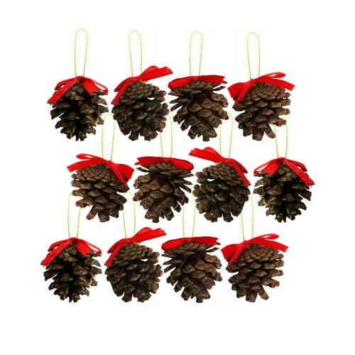 Real genuine pine - x, cone