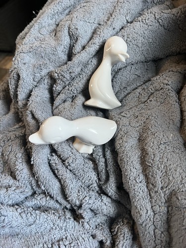 Two little ducks ceramic - little,