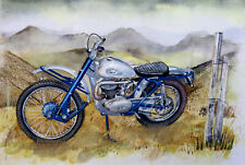 1960's Scottish Greeves Trials