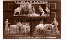 1930's Paulo's circus Emily's
