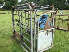 Cattle Crush £390 plus vat £468 located close to Gatwick Airport