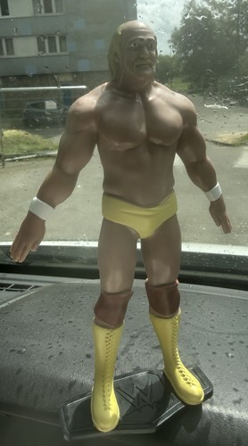 Wwe hulk hogan single - hogan,