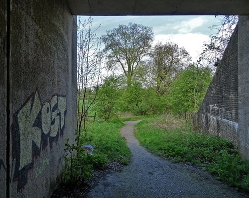 Photo 12x8 under - 12x8,