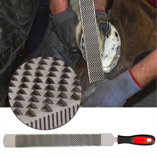 Farriers horse cattle hoof - horse, /