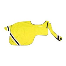 Equisafety Wrap Around Hi Vis Exercise Rug | Horses & Ponies