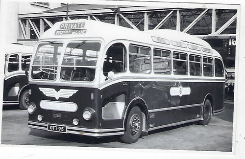 Bus photo ott95 royal blue - royal,
