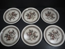 6 x 25cm Dinner Plates Barratts of Staffordshire - Wild Strawberry