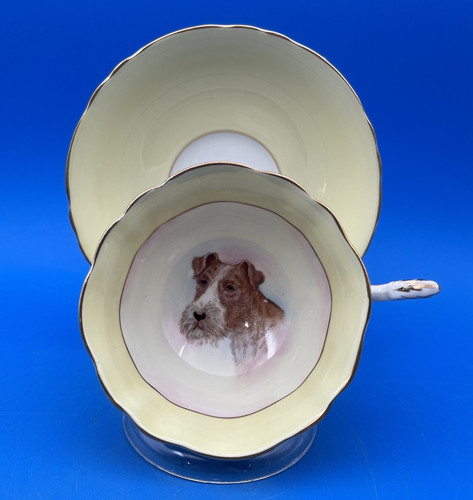 Paragon england outstanding - paragon,