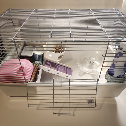 Pet hamster cage habitat with - pet,
