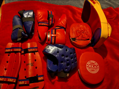 Martial arts equipment mitts - martial,