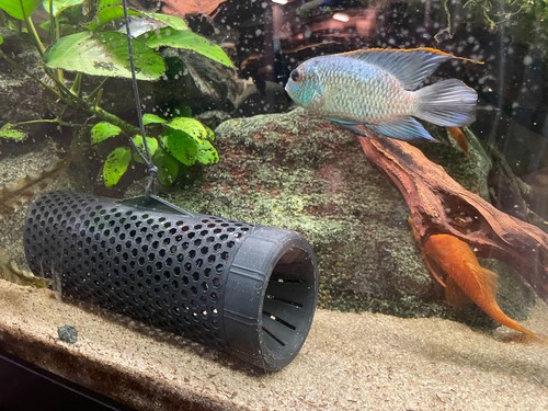 Aquarium fish trap aquatrap - aquarium,