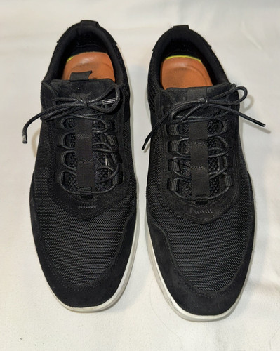 Wolf shepherd men size - shepherd, 8