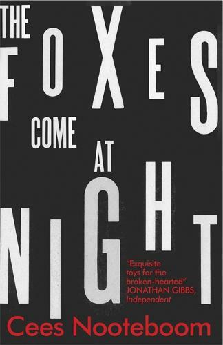 The foxes come night - foxes, at