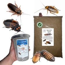 Specialist Roach Chow Hydro