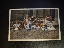 ST Bernard Postcard 1938, J