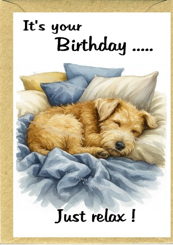 Lakeland terrier dog - dog, birthday