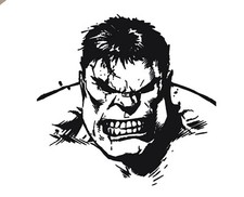 HULK FACE VINYL STICKER FOR