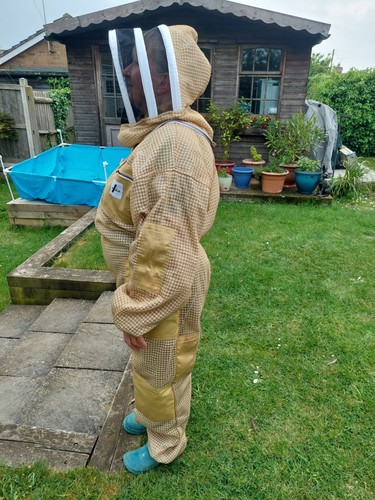 Bee suit medium - suit,
