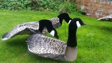 Goose Decoys Sillosock Canada Goose 6 pack 4 feeders 2 sentries 