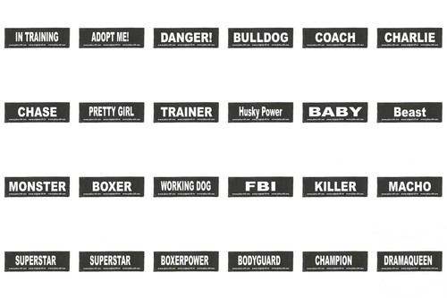 Julius official labels - julius,