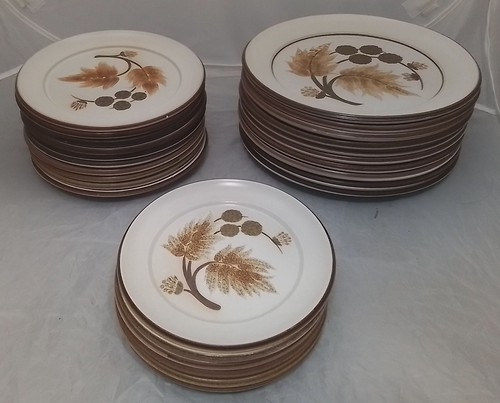 Denby cotswold plate set - cotswold, 26