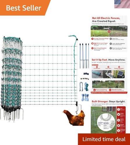 Portable electric chicken - electric,