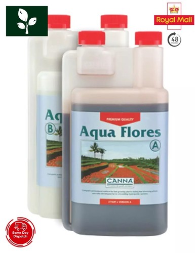 Canna aqua flores - a&b, 1l