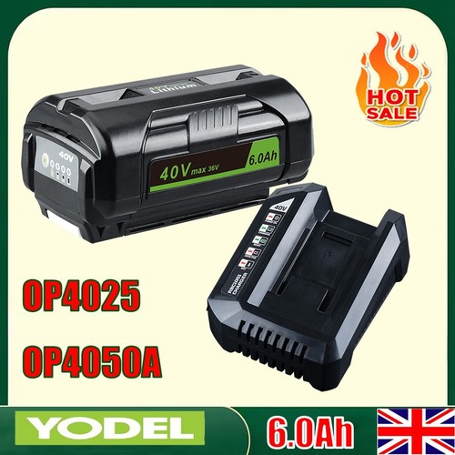 0ah charger 40v battery for - 6.0ah+charger,