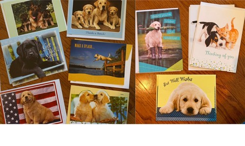 Greeting note cards - 10,