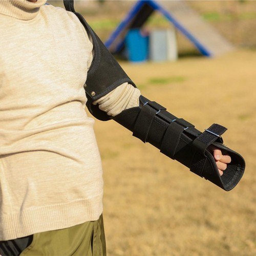 Dog bite training - dog, anti