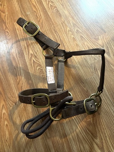 Brown monty roberts dually - brown,