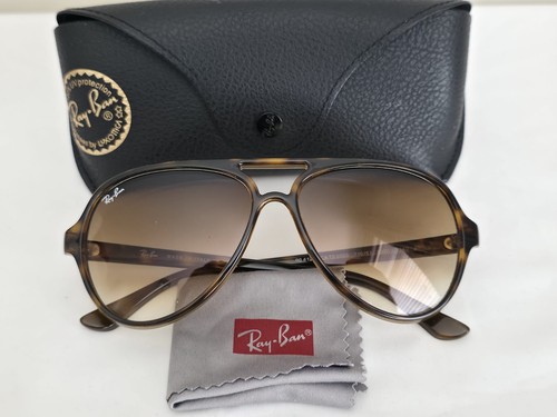 Ray ban sunglasses - ray-ban, cats