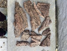 Tree Bark, Decorative, Terrarium, Reptile Habitat