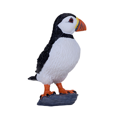 Atlantic puffin wild zoo - puffin,