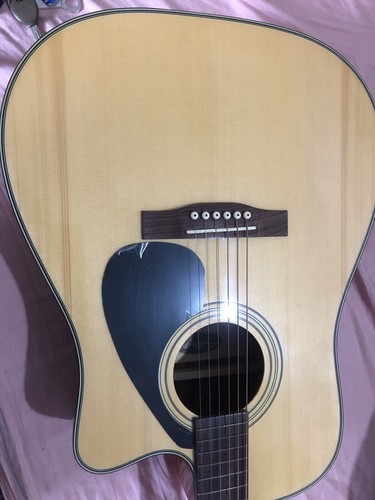 Stagg electro acoustic - stagg,