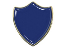 Plain Blue Gel Domed School