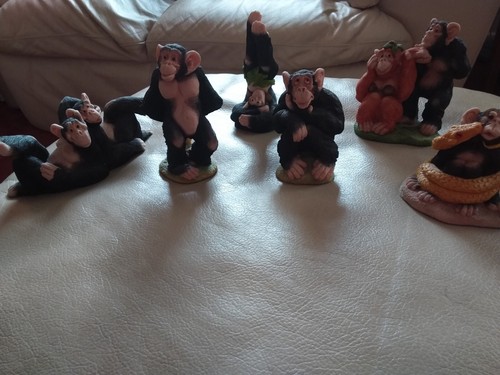 Cheeky monkey chimps - monkey,