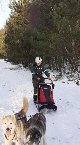 Rowerland sled dog - sled,,