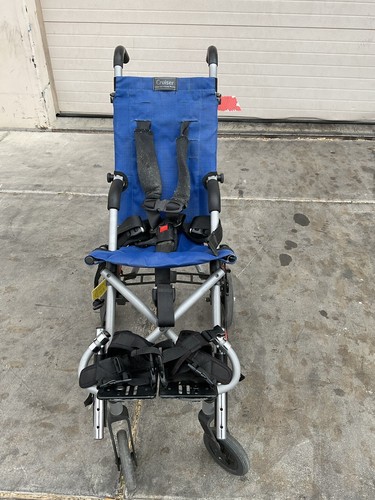 Cruiser special needs - cruiser￼,