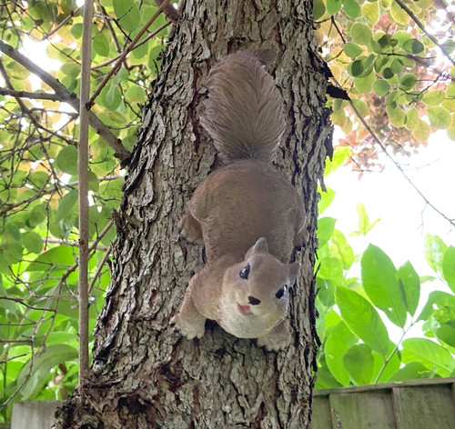 Red squirrel garden ornament - squirrel,