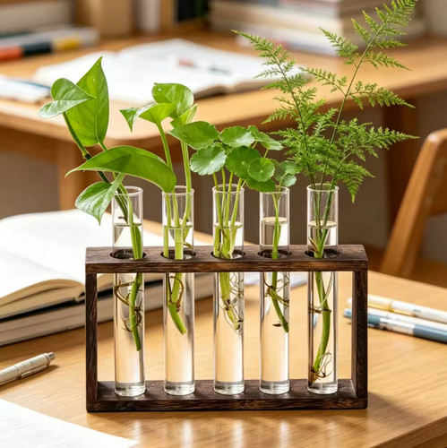 Test tube glass - tube, propagation