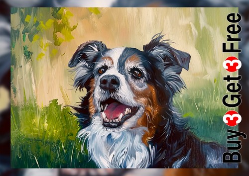 Joyful border collie - joyful, dog