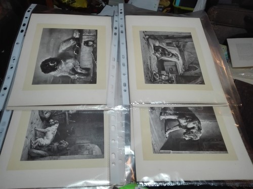 Rare victorian - rare, (