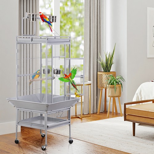 Bird cage play - bird, top