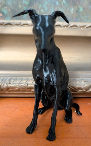 Greyhound lurcher whippet home - whippet,