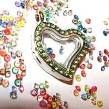 Floating living memory pendant